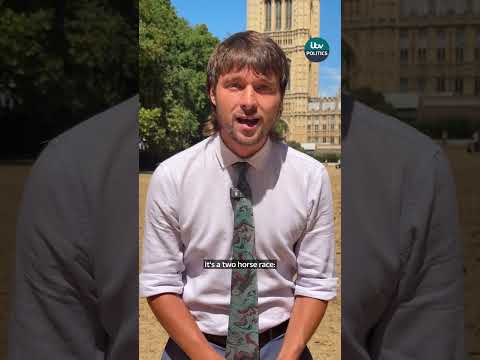 34 candidates fighting Clacton by-election