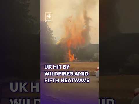 Wildfires break out across UK amid fifth heatwave