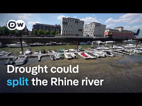 Low river water levels could divide Germany’s cargo lifeline in two | DW News