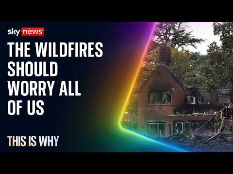 We should all be worried about the UK’s wildfires. This Is Why.