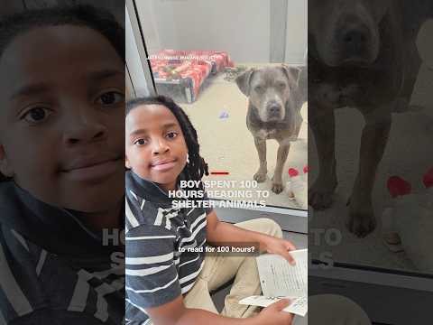 Boy spent 100 hours reading to shelter animals