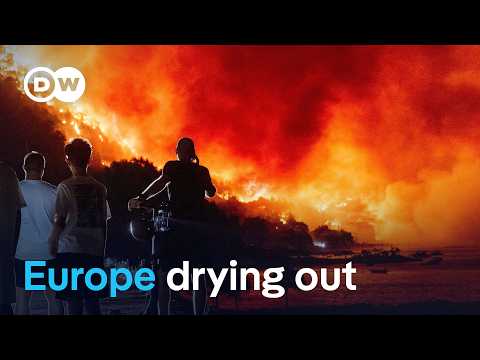 Why wildfires are spreading beyond Europe’s traditional fire zones | DW News