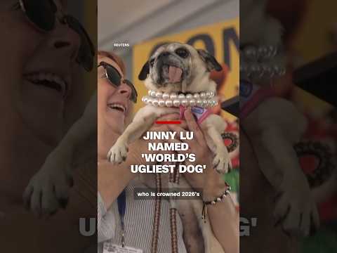 Jinny Lu named ‘World’s Ugliest Dog’