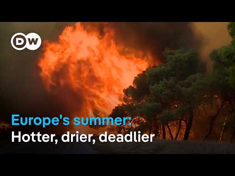 Europe’s new hotter climate is already here: Just take a look… | DW News