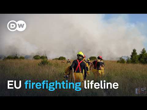 European aircraft join battle as Belgium’s record wildfire spreads | DW News