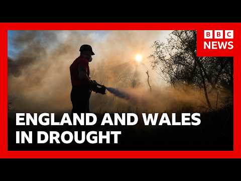 Fire crews still dealing with a “significant number” of fires across Wales and England | BBC News