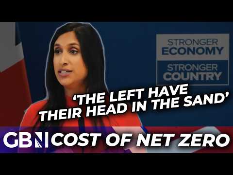 ‘Giving the others the ick’ | Shadow Energy Secretary announces cheaper energy plan for net zero