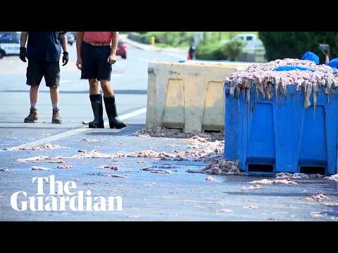 Thousands of pounds of squid spilled on Rhode Island highway