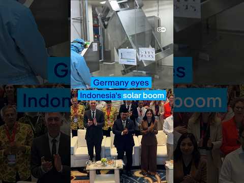 Indonesia’s solar boom: Germany eyes a growing green energy market | DW News
