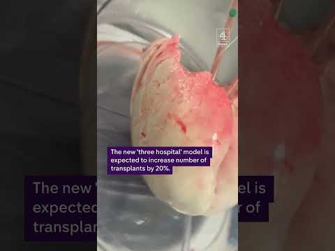 These ‘breathing’ lungs are first to be transplanted in new NHS programme