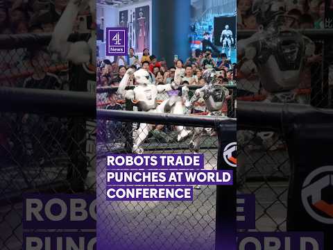 Humanoid robots throw punches at 2026 World Robot Conference
