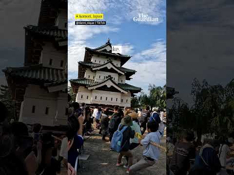 Japanese castle manually moved by 1,800 people