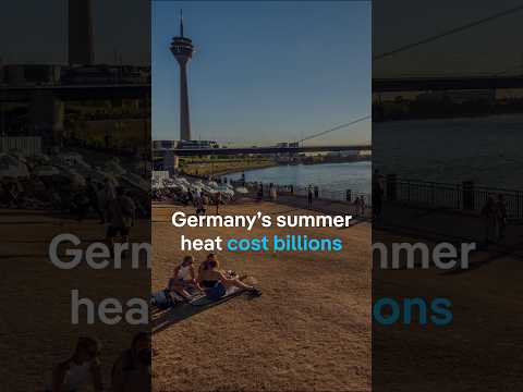 Germany’s hot summer cost the country billions | DW News