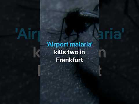 Two Frankfurt Airport staff die of ‘airport malaria’ | DW News