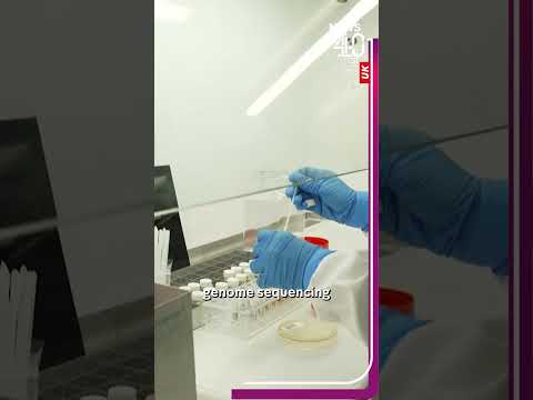 Salmonella cases linked to imported eggs rising in the UK