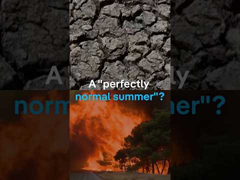 No, this wasn’t a “perfectly normal summer” | DW News