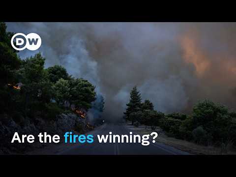 The alarming forecast for Europe’s wildfires | DW Focus Insights
