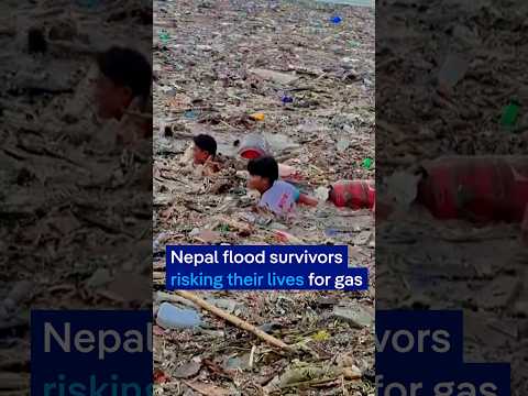 Why are Nepal’s flood survivors risking their lives for gas cylinders? | DW News