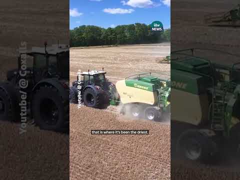 UK Harvest finished a month early due to drought and heatwaves