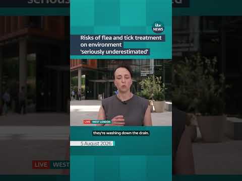 Risks of flea and tick treatment on environment ‘seriously underestimated’