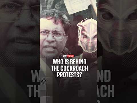 Who are the people behind India’s cockroaches’ protests?