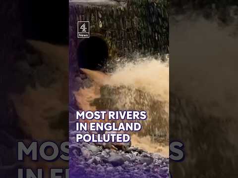 Most rivers in England polluted by sewage, according to new survey