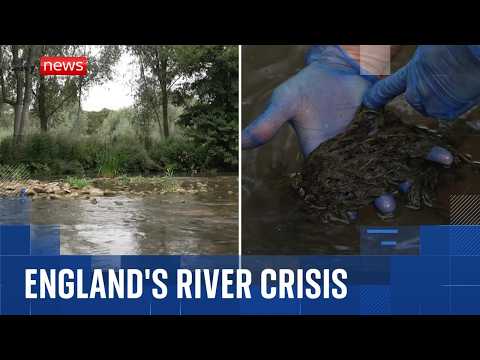 New data reveals the shocking state of England’s rivers