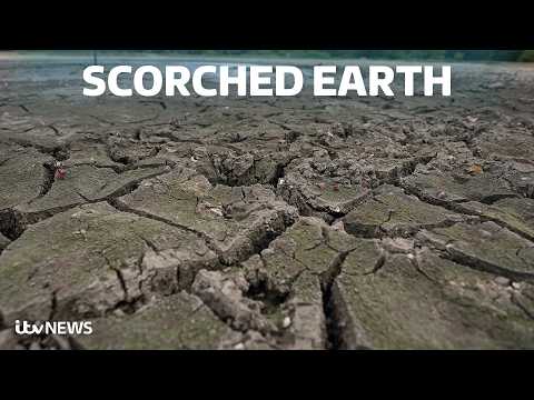 Drought to hit more parts of England as heatwave beckons and water supplies dwindle