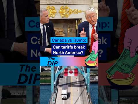 How damaging are Canada’s retaliatory tariffs for its own economy? | The Dip Podcast