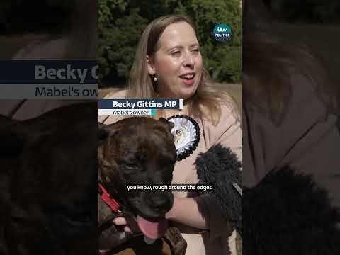 Which pooch won Westminster’s Dog of the Year?