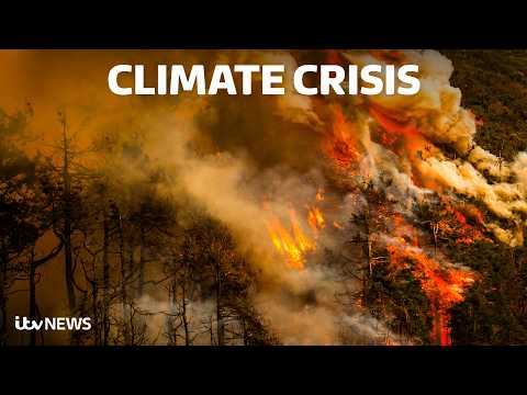 El Niño: Why next year will almost certainly be hotter