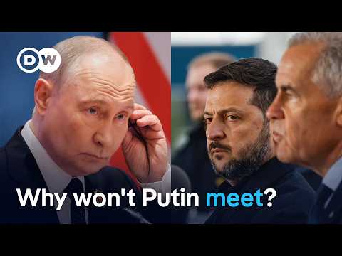 Putin rejects Zelensky’s offer for face-to-face talks at the G20 | DW News