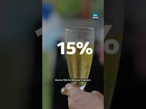 Why Champagne could be more alcoholic after France’s extreme heatwaves