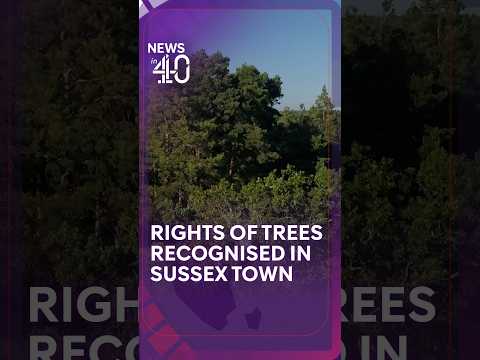 Rights of trees recognised in East Sussex town