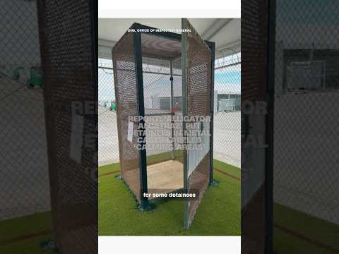 Report: ‘Alligator Alcatraz’ put detainees in metal cages labeled ‘calming areas’