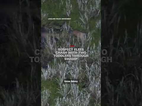 Suspect flees crash with two toddlers through swamp