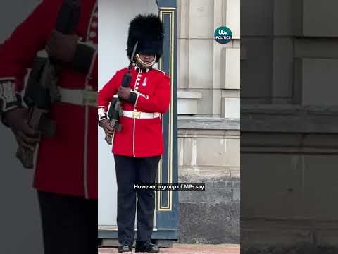MPs urge Government to replace soldiers’ bear-fur hats with fake alternative