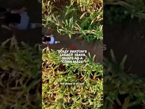 Dolly Parton’s legacy takes shape as a corn maze