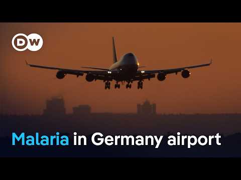 Several people die from rare “airport malaria” cases around Frankfurt Airport | DW News