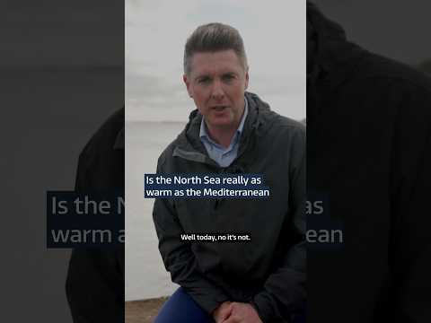 Is the North Sea really as warm as the Mediterranean?