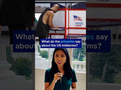 What do the US primaries tell us about the midterms? | DW News