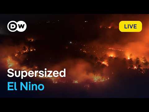 Live: World Meteorological Organization’s El Nino update | DW News