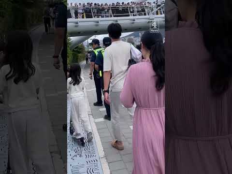 Thousands gather to see shark stuck in South Korean canal