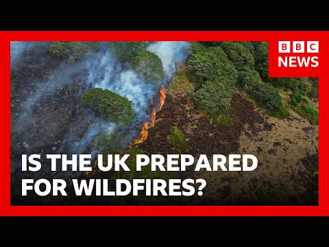 Lives ‘will be lost’ unless UK does more to combat wildfires, experts warn | BBC News
