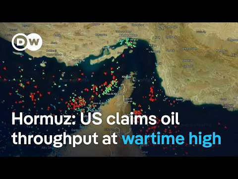 Energy analyst: ‘Tanker traffic’ through the Strait of Hormuz ‘nowhere near normal’ | DW News