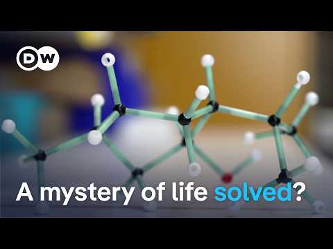 Why this Chemistry Nobel matters for modern medicine | DW News