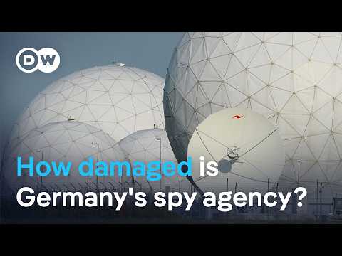 What alleged leak of classified files could mean | DW News