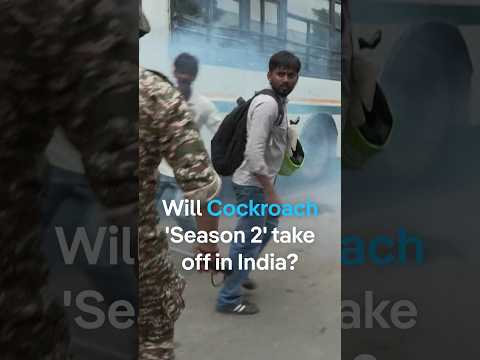 Will Cockroach ‘Season 2’ take off in India? | DW News