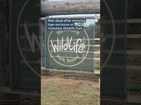 A man has died after being attacked by a tiger at Yorkshire Wildlife Park in Doncaster.