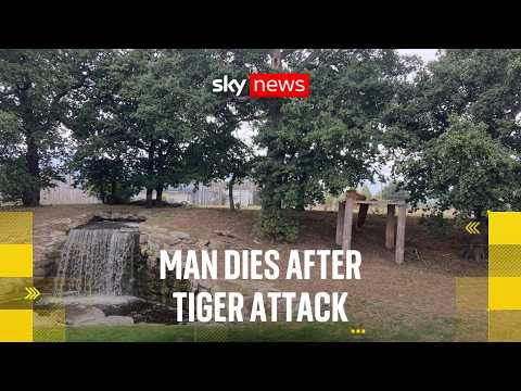 Man dies after attack by tiger at UK wildlife park